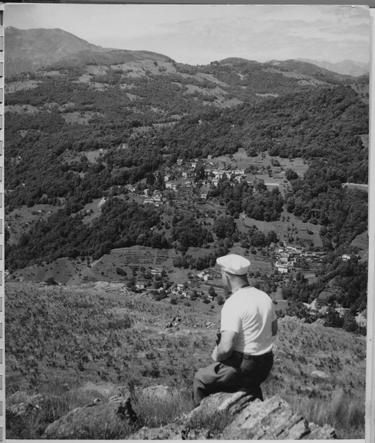 Veduta di Roveredo e Oggio dai monti di Sonvico