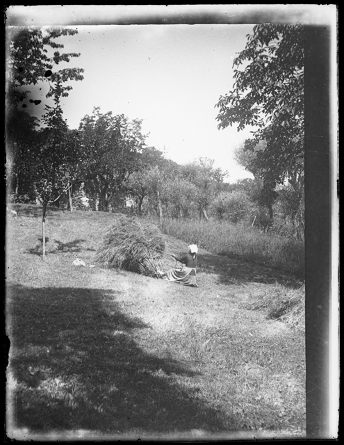 Donna mentre carica un cargansc durante la fienagione