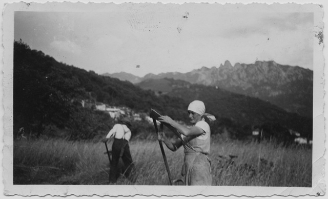 Anita e Serafino Storni durante la fienagione a Biolda