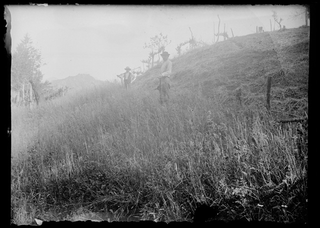 Uomini in un campo durante la fienagione