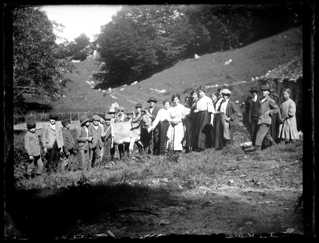 Gruppo in posa con vitello a (?)