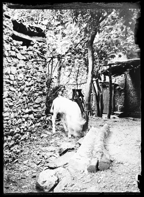 Cortile di un'abitazione