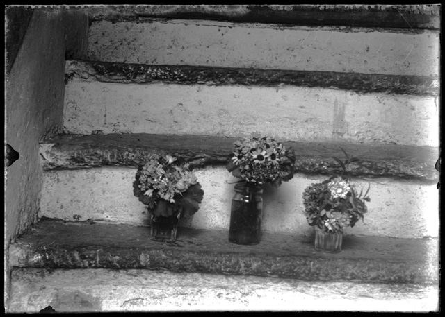 Vasi di fiori sulle scale