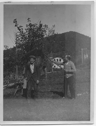 Raccolta dello strame