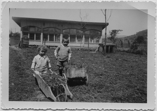 Bambini mentre trasportano del fieno con delle carriole