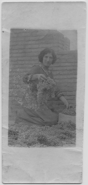 Armida Antonini con dei grappoli d'uva a Sultanabad