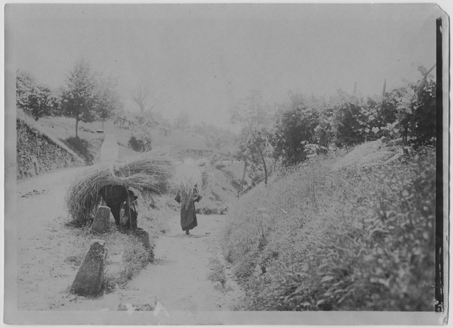 Donna e ragazzo mentre trasportano del fieno a Sonvico