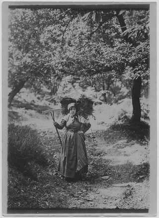 Donna con gerla e rastrello in costumi valcollini