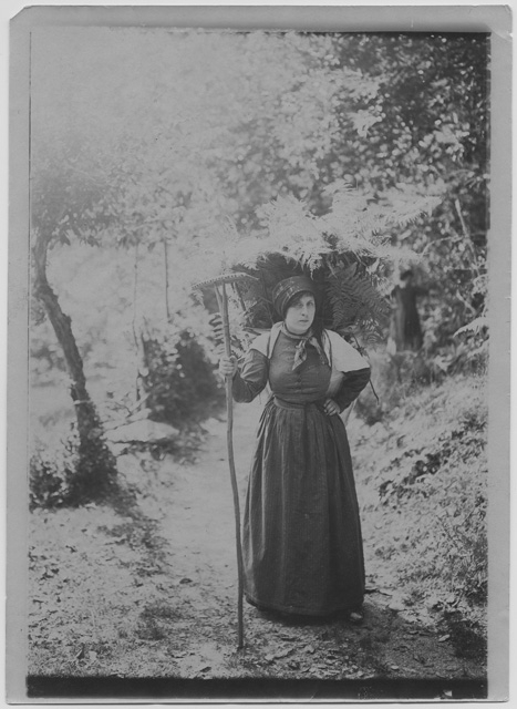 Donna con gerla e rastrello in costumi valcollini