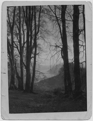 Veduta del golfo del Ceresio da Cureggia