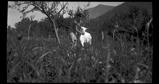 Ragazza in un campo con capra