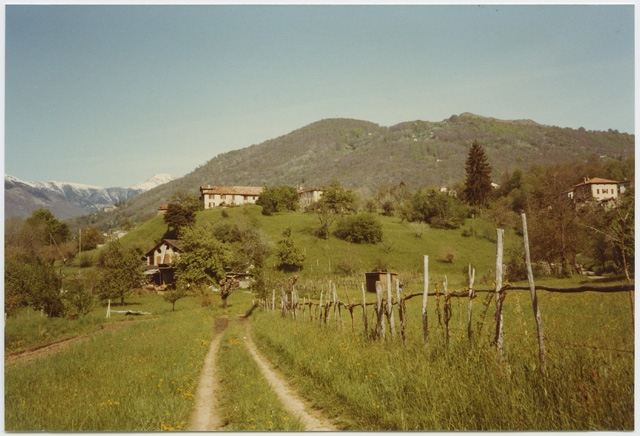 Veduta della campagna di Sarone