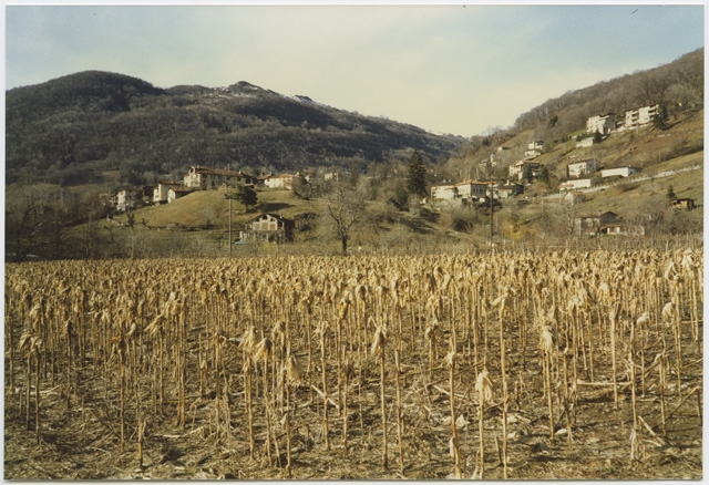Veduta della piana di Sarone