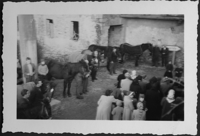 Benedizione dei cavalli a Sala Capriasca
