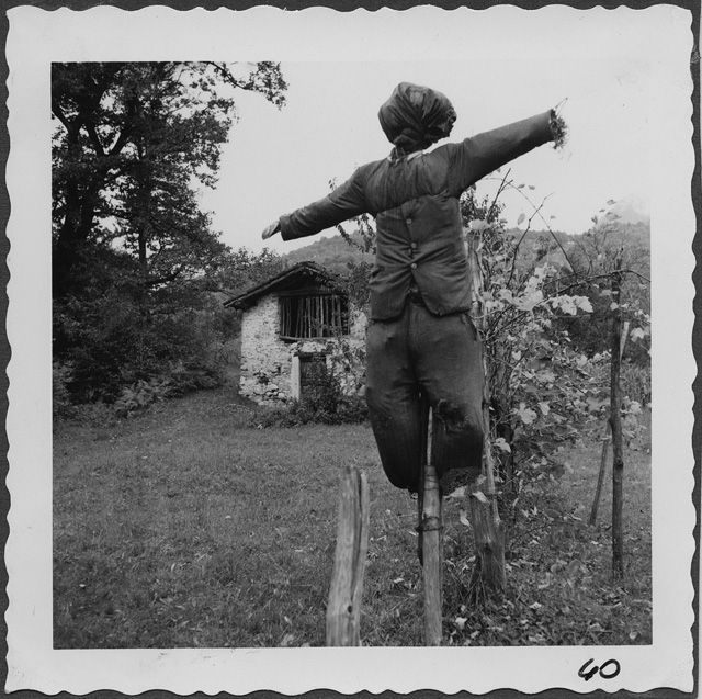 Terreno con spaventapasseri a Cagiallo