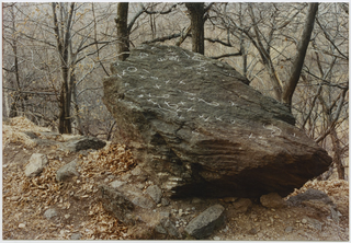 Masso cuppellare ai monti dei Nobili