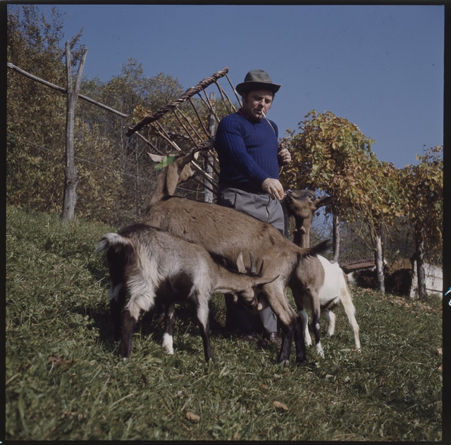 Uomo con capre e cargansc