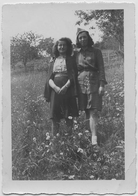 Ragazze in posa in un prato