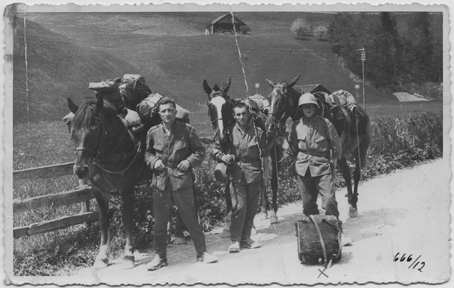 Militari su una strada di montagna con cavalli