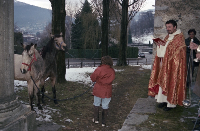 Benedizione dei cavalli a Sala Capriasca