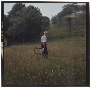 Uomo in un prato a (?)