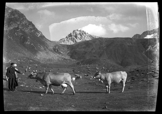 Remo e Pia Canonica in un pascolo in Leventina