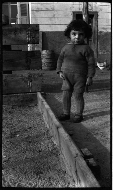 Ritratto di Vittorino Besomi