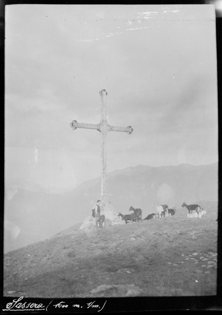 Uomo con capre alla Sassèra