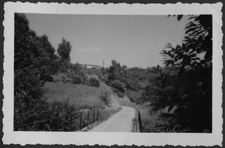 I Meraggia di Sala Capriasca