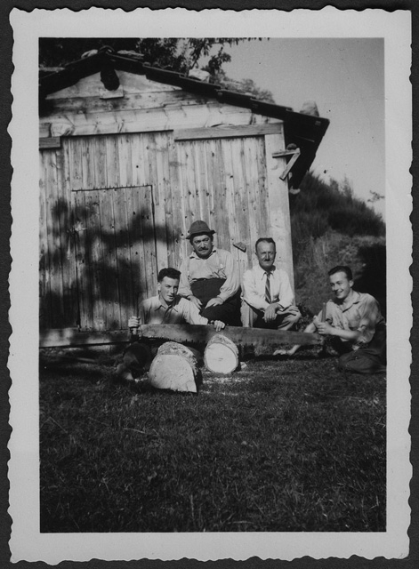 Michele e Piero Antonini con due amici mentre segano un tronco a Condra