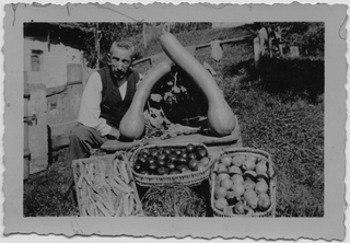 Giovanni Giovannini ritratto con il raccolto del suo orto a Lelgio