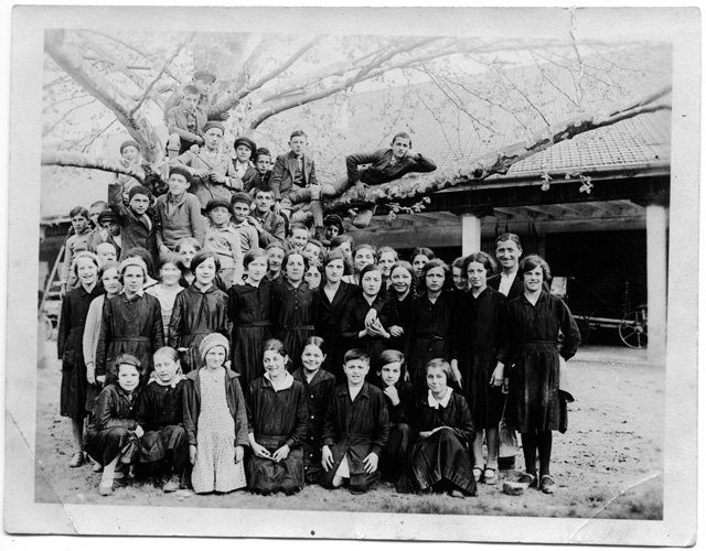 Bambini e ragazzi in posa davanti ad un albero