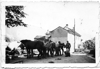 Soldati che ferrano dei cavalli