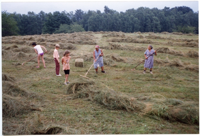 Fienagione sui monti di Bigorio