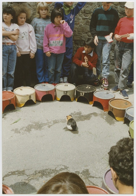 Bambini assistono al sorteggio eseguito mediante una cavia durante la festa Penagina a Sala Capriasca