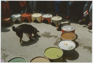 Sorteggio eseguito mediante una cavia durante la festa Penagina a Sala Capriasca