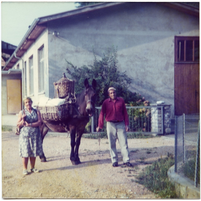 Plinio e Piera Storni accanto ad un cavallo da trasporto