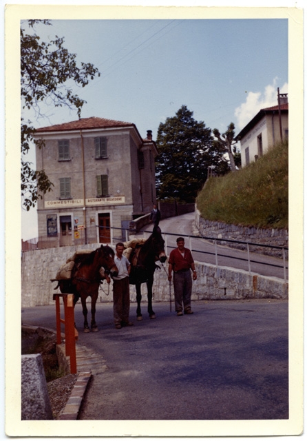 Uomini con due cavalli da trasporto