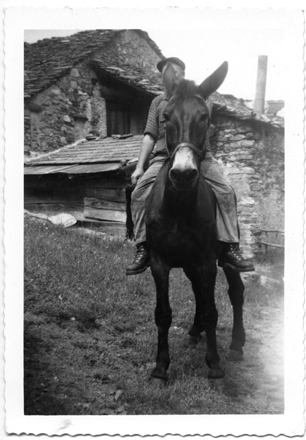 Ritratto di uomo a dorso di un cavallo
