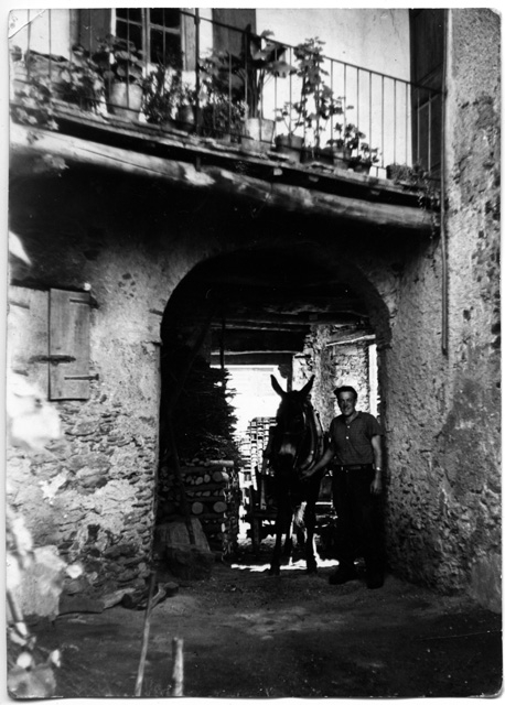 Plinio Storni con il suo cavallo a Sala Capriasca