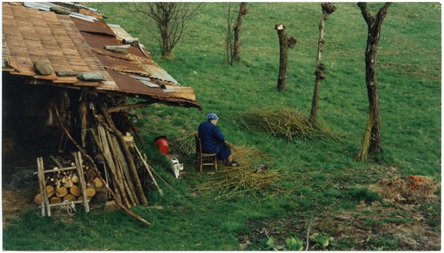 Carolina Storni intenta a costruire delle fascine
