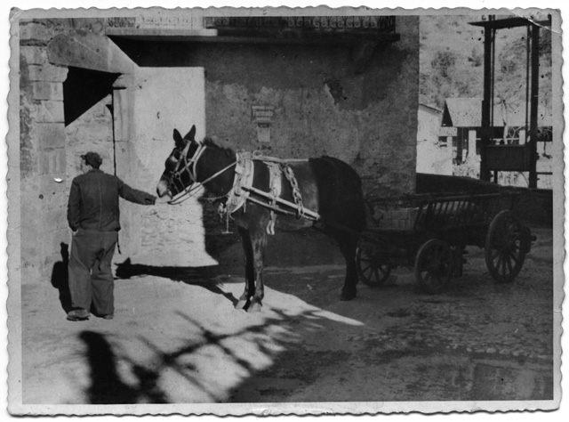 Plinio Storni con il mulo e il carretto