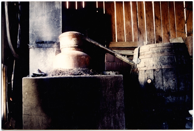 Ritratto di un alambicco