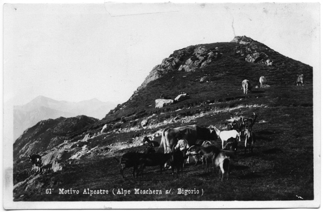 Cartolina dell'alpe Moschera
